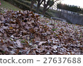 Autumn leaves, fall, winter, season, feel the four seasons, landscape 27637688