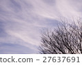 Autumn leaves, fall, winter, season, feel the four seasons, landscape 27637691