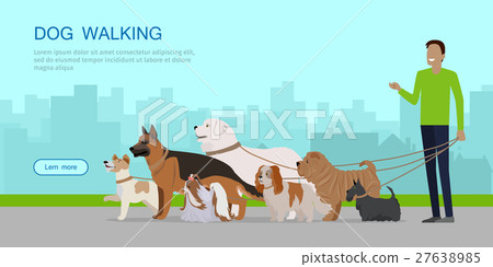 Dog Walking Banner. Man Walks with Puppies 27638985
