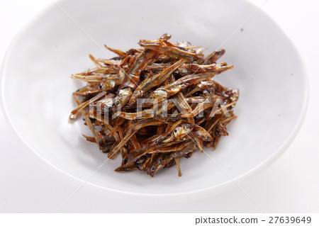 rice fields 27639649