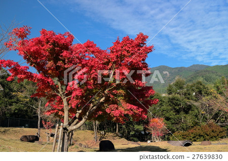 Kirara沒有佐藤公園秋葉 Kirara沒有佐藤公園秋葉 27639830