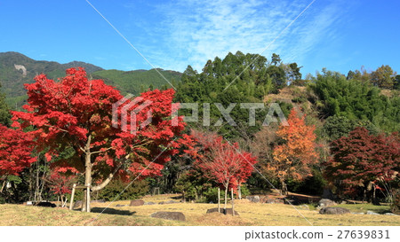 Kirara沒有佐藤公園秋葉 Kirara沒有佐藤公園秋葉 27639831