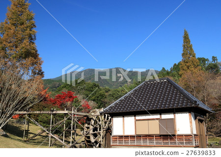 Autumn leaves of Kirara no Sato Park Autumn leaves of Kirara no Sato Park 27639833