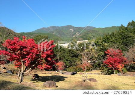 Autumn leaves of Kirara no Sato Park Autumn leaves of Kirara no Sato Park 27639834