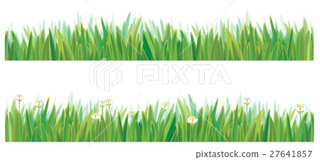 Vector green grass seamless border. - Stock Illustration [27641857] - PIXTA