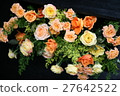 Roses 27642522