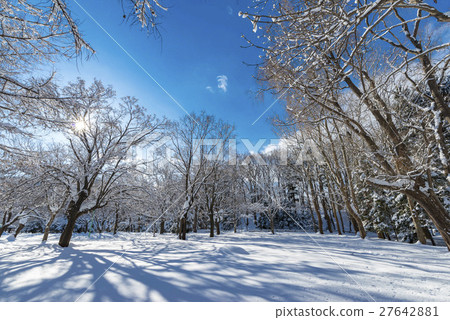 北海道的冬天風景 27642881