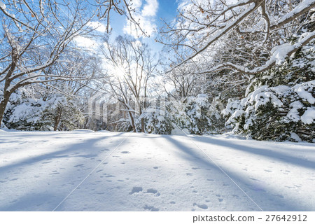 北海道的冬天風景 27642912