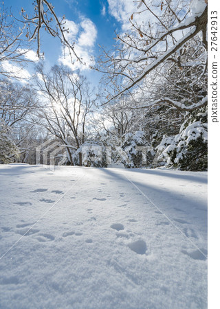 北海道的冬天風景 北海道的冬天風景 27642913