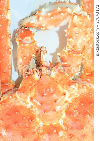 白蛤背囊蟹 白蛤背囊蟹 27643172