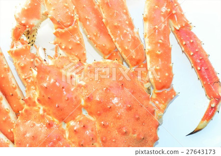 白蛤背囊蟹 白蛤背囊蟹 27643173
