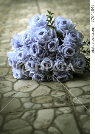 bouquet of blue rose lying on grey road bouquet of blue rose lying on grey road 27643842