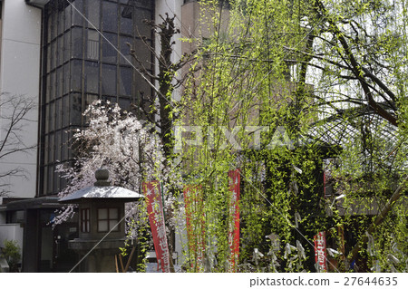 Rokkakudo Round-tied Hexagonal Willow 27644635