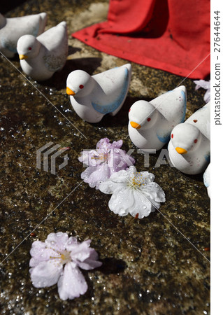 六角鴿鴿子 27644644