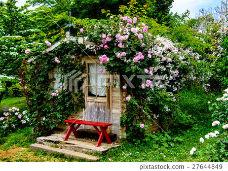 Heidi's cabin Heidi's cabin 27644849