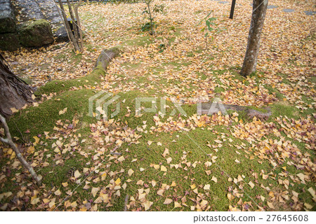 深秋五彩山竹寺四國神社工廠第88位第31個佛教寺廟 深秋五彩山竹寺四國神社工廠第88位第31個佛教寺廟 27645608