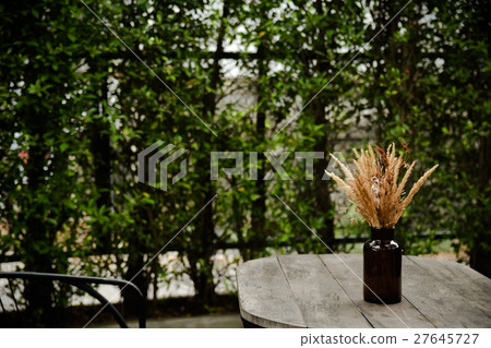 purple caspia flowers in vase or caspia flower 27645727