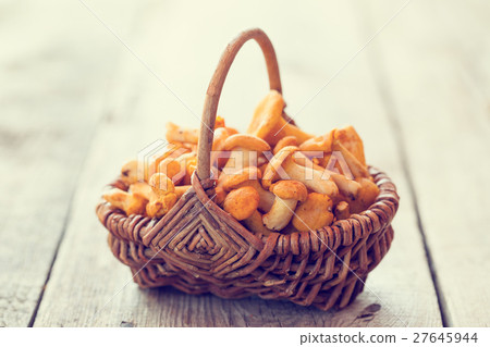 Fresh chanterelles in basket.  27645944