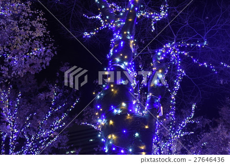 illumination illumination 27646436