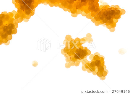 Pike roe with white background Pike roe with white background 27649146