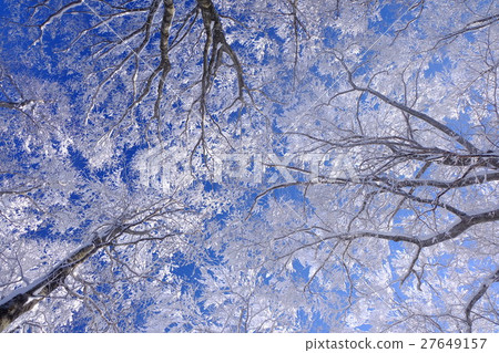 Ice sky and blue sky 27649157