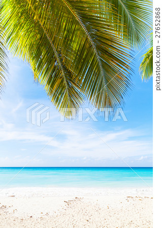 Tropical beach vertical photo background 27652868
