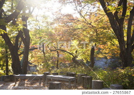 The scenery of Autumn 164 27655867