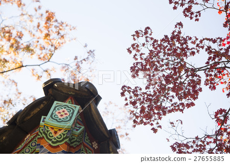 The scenery of Autumn 190 The scenery of Autumn 190 27655885