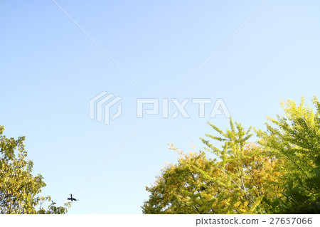 autumnScenery 023 autumnScenery 023 27657066