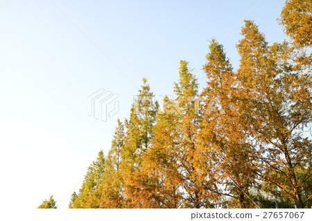 autumnScenery 029 autumnScenery 029 27657067
