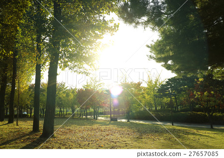 autumnScenery 034 autumnScenery 034 27657085