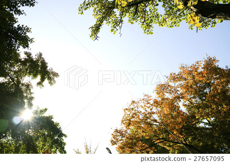 autumnScenery 040 autumnScenery 040 27657095