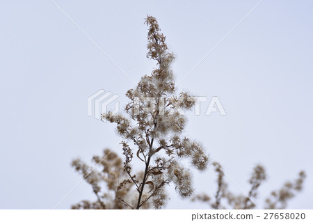 高大的泡沫 27658020