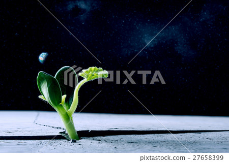 Is there life on moon Is there life on moon 27658399
