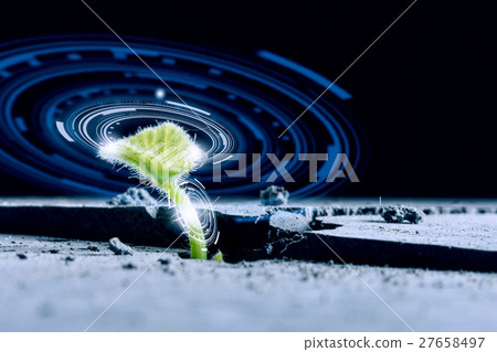 Is there life on moon Is there life on moon 27658497