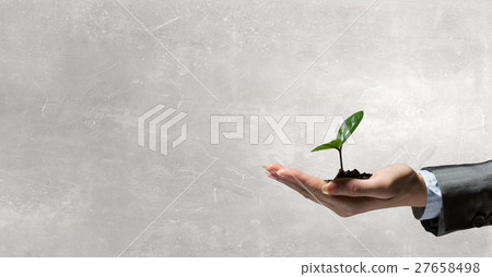 New life in your hands New life in your hands 27658498