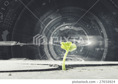Is there life on moon Is there life on moon 27658924