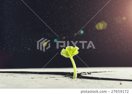 Is there life on moon Is there life on moon 27659172