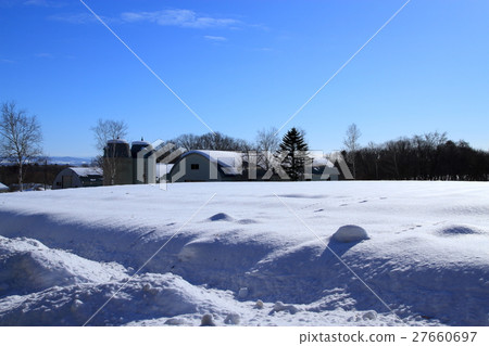 札幌冬季場景 札幌冬季場景 27660697