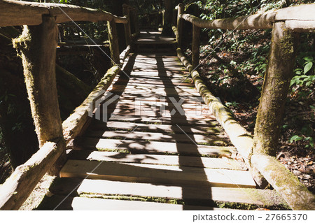 rain forest walk way in Ang Ka nature trail located in Doi inthanon national park, the highest peak in Thailand rain forest walk way in Ang Ka nature trail located in Doi inthanon national park, the highest peak in Thailand 27665370