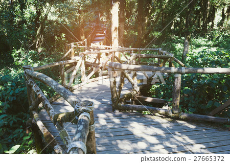 rain forest walk way in Ang Ka nature trail located in Doi inthanon national park, the highest peak in Thailand rain forest walk way in Ang Ka nature trail located in Doi inthanon national park, the highest peak in Thailand 27665372