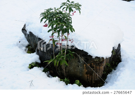 南方的天空 27665647