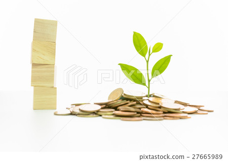 plant and coins, currency, investment and business 27665989