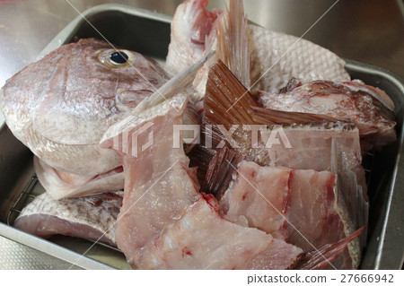 Snapper 's Ara (Three pieces down) 27666942