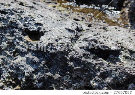 Flock of rock face 27667097