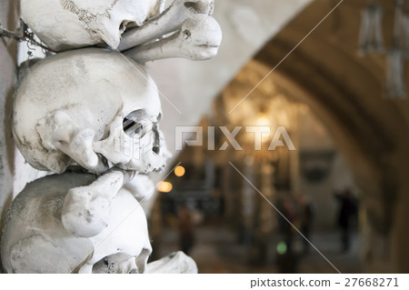 Human skulls and bones 27668271