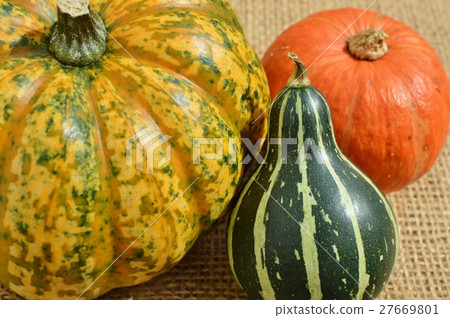 pumpkin 27669801