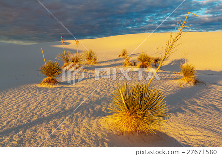 White sands White sands 27671580
