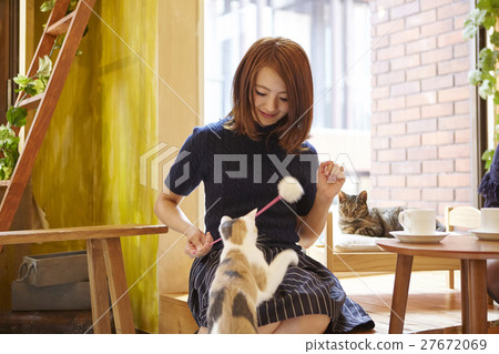 Cat Cafe 27672069