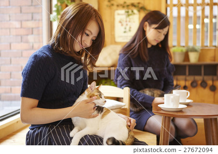 Cat Cafe Cat Cafe 27672094